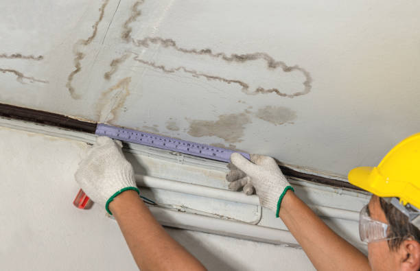 Reliable Basement Water Removal contractor in San Fernando, CA by Water Damage Irwin